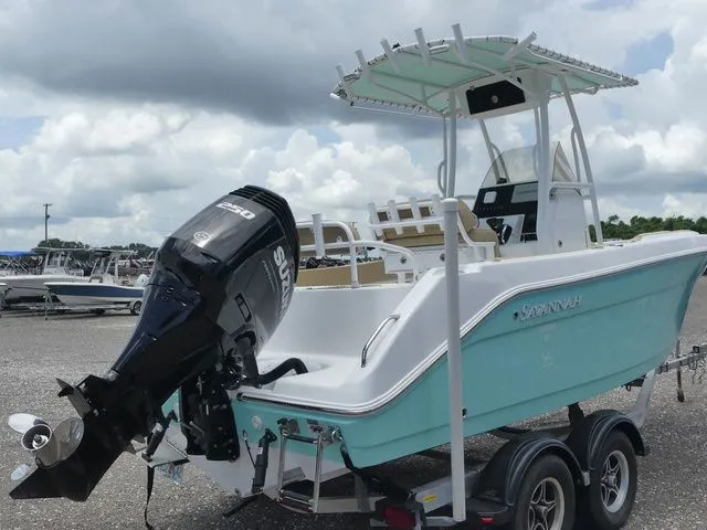 Slide: The Image of Savannah Savannah 2200 2024 - 4