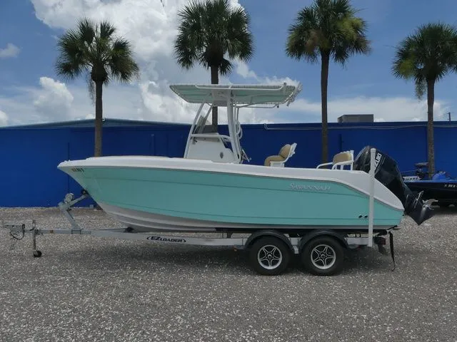 Slide: The Image of Savannah Savannah 2200 2024 - 7