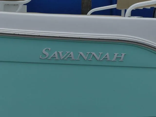 Slide: The Image of Savannah Savannah 2200 2024 - 8