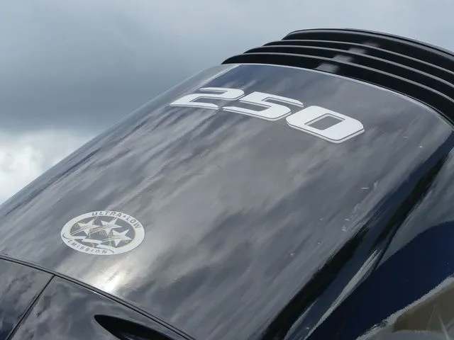 Slide: The Image of Savannah Savannah 2200 2024 - 9