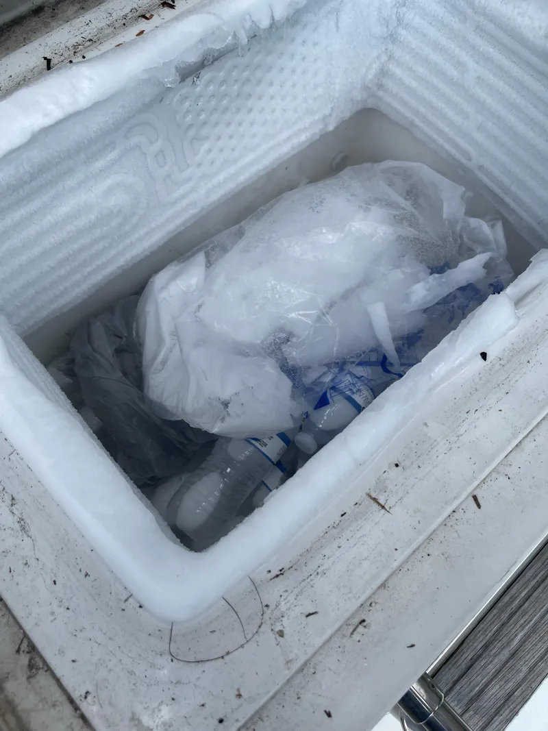 Slide: The Image of 40 Trojan 12 Meter Convertible - 14