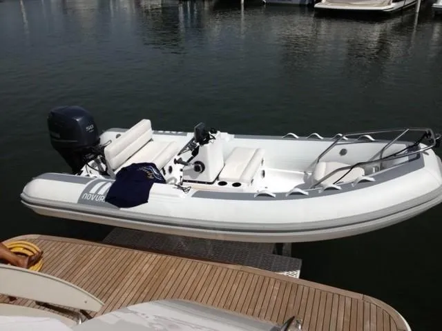 Slide: The Image of Novurania Tender - 154