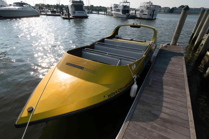Slide: The Image of Yellow 2014 Custom Smokey Mountain Jet Boat docked at marina with other boats. - 4