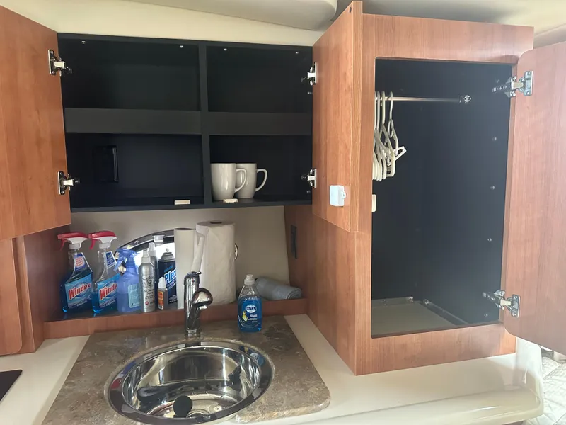 Slide: The Image of 2009 Cruisers 300 CXi Express kitchen with open cabinets, sink, and cleaning supplies. - 9