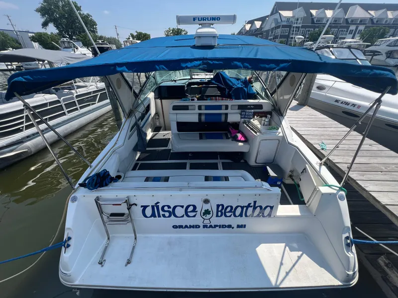 Slide: The Image of 1991 Sea Ray 310 Sundancer docked, blue canopy, Grand Rapids, MI. - 4