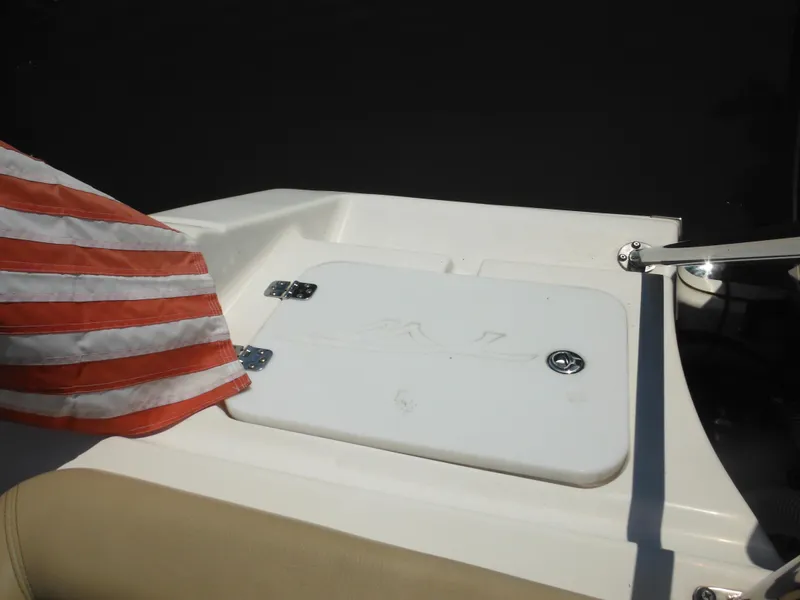 Slide: The Image of 2022 Tidewater 220 LXF boat deck with American flag detail. - 15