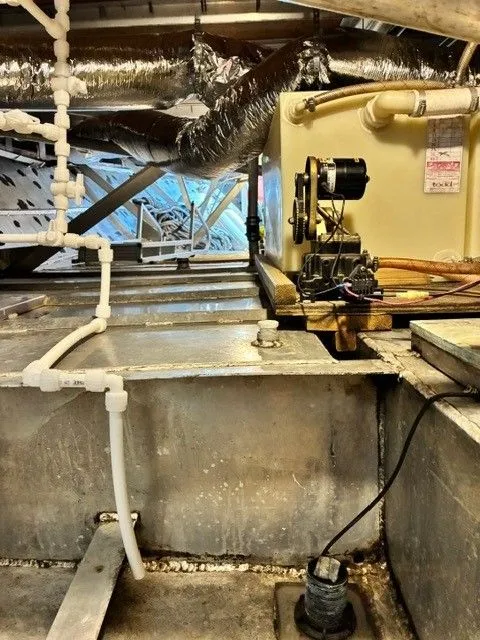 Slide: The Image of Pluckebaum river cruiser 1969 - 29