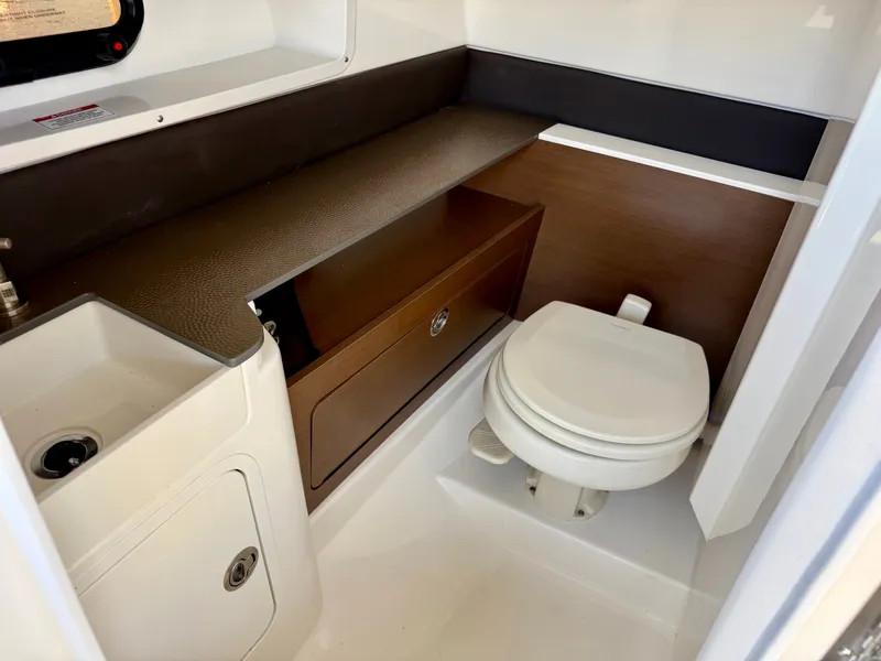 Slide: The Image of Interior of the Sea Ray SDX 290 featuring a toilet and sink. - 18