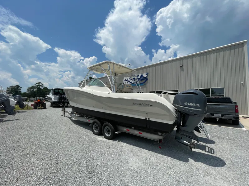 Slide: The Image of World Cat 295 DC 2014 - 2