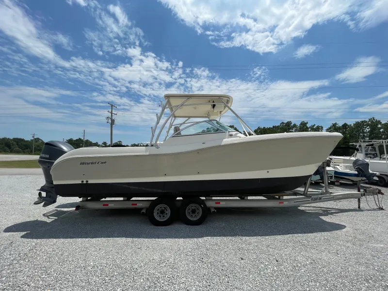 Slide: The Image of World Cat 295 DC 2014 - 5