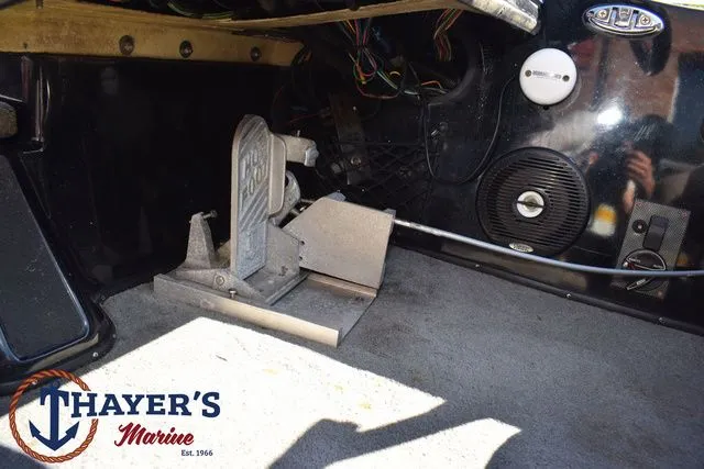 Slide: The Image of Bass Cat Puma FTD 2007 - 37