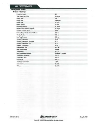 Slide: The Image of Bass Cat Puma FTD 2007 - 64