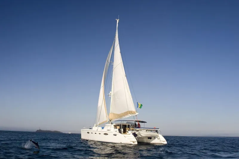 Slide: The Image of Sailing catamaran FOX-3637 by 33rd Strike Group, 2026, on open sea with dolphin nearby. - 51