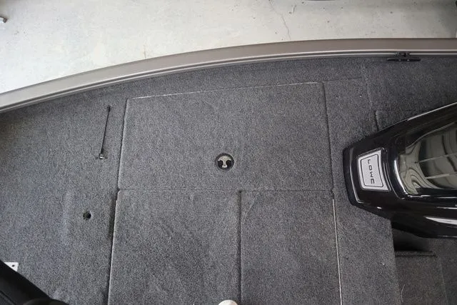 Slide: The Image of Lowe Stinger 175C 2026 - 6