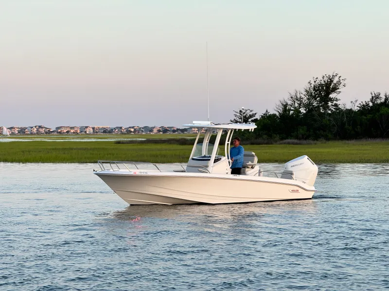 Slide: The Image of 2024 Boston Whaler 250 Dauntless boat cruising on calm water near shoreline. - 5