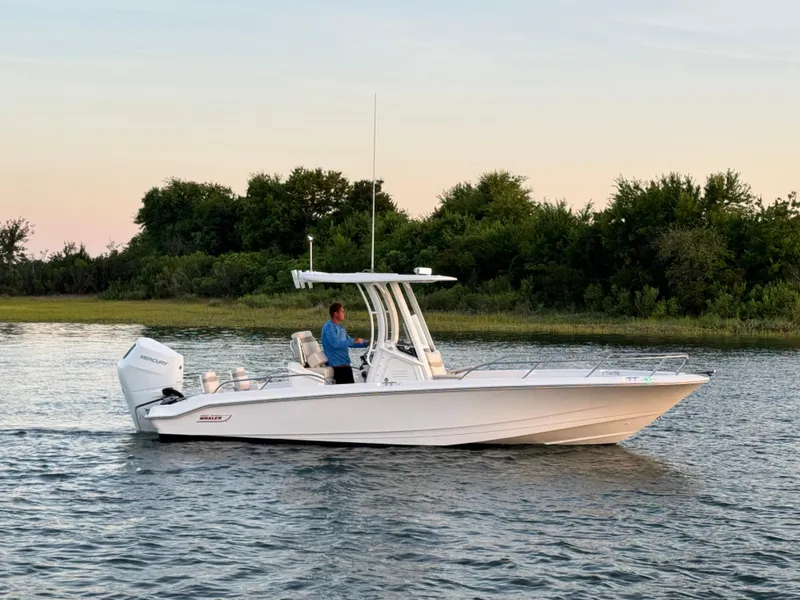 Slide: The Image of 2024 Boston Whaler 250 Dauntless boat on calm water at sunset, with lush greenery in background. - 7
