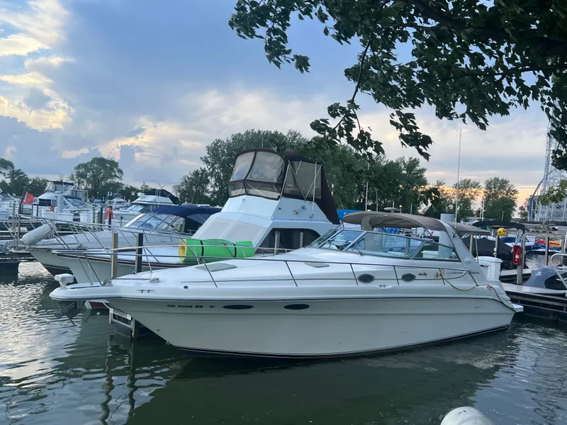 Slide: The Image of Sea Ray Sundancer 330 1995 - 3