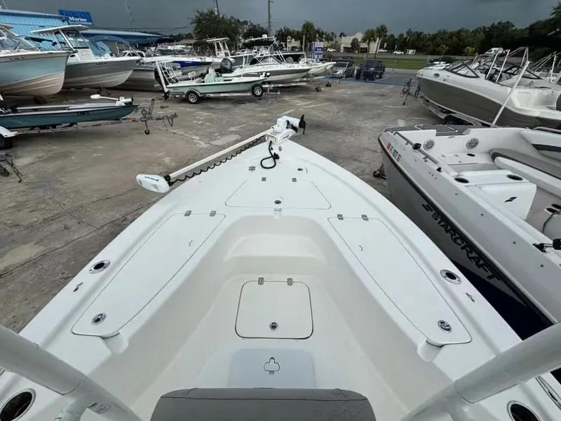 Slide: The Image of Sea Pro 208 CC 2019 - 7