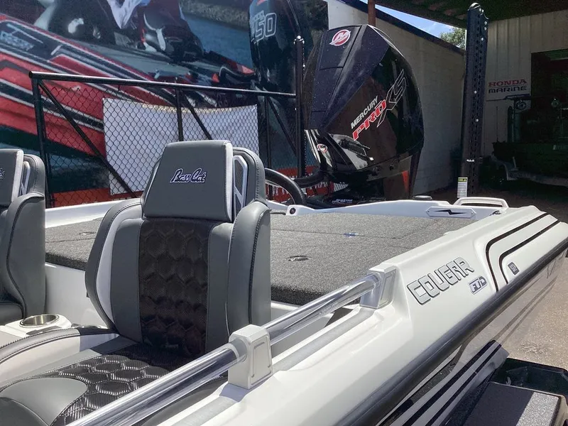 Slide: The Image of Bass Cat Cougar SP 2026 - 30