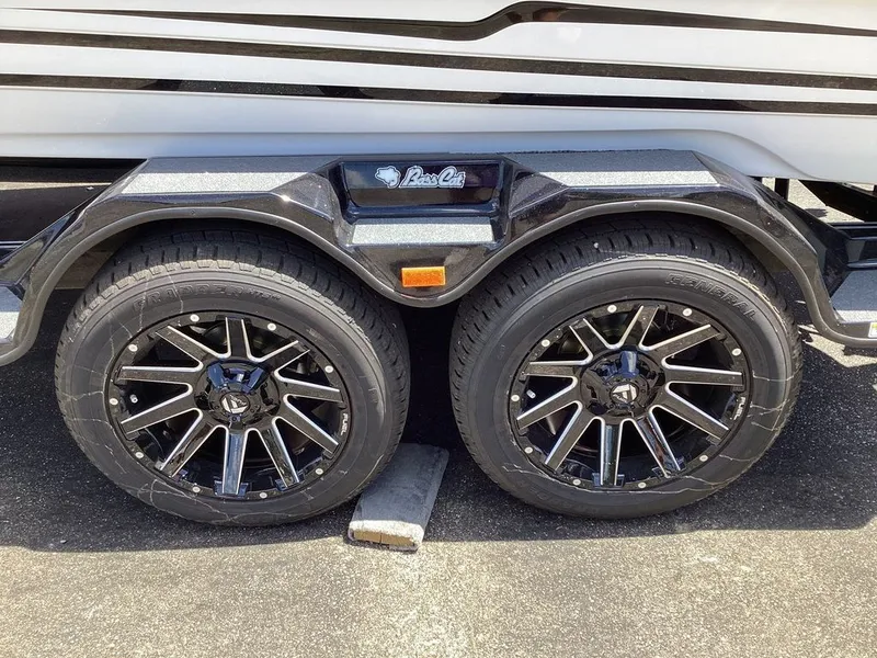 Slide: The Image of Bass Cat Cougar SP 2026 - 34