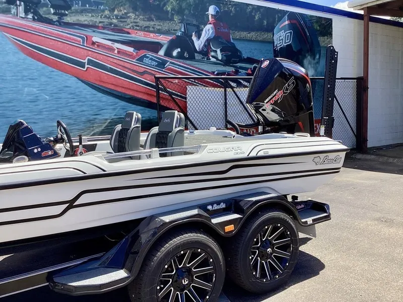 Slide: The Image of Bass Cat Cougar SP 2026 - 4