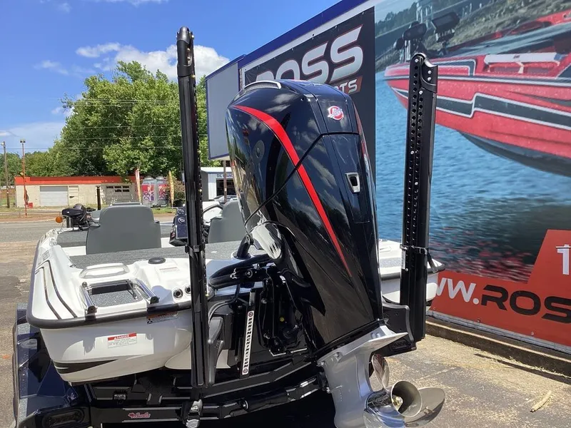 Slide: The Image of Bass Cat Cougar SP 2026 - 9