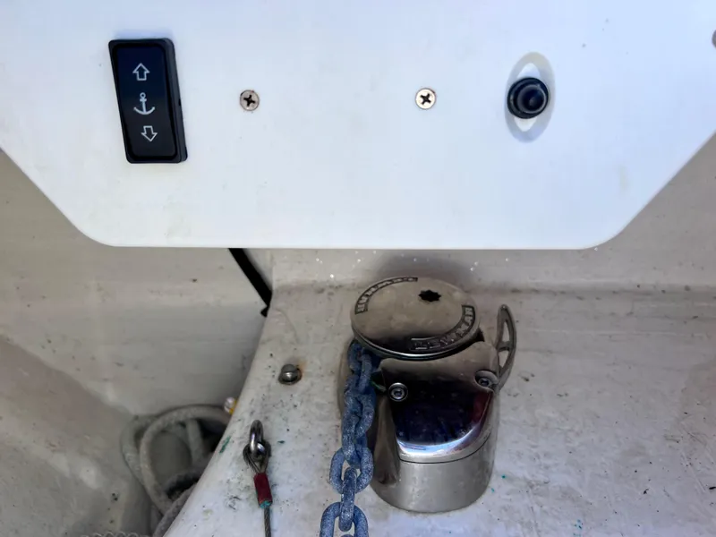 Slide: The Image of Sunsation 32 CCX 2023 - 70