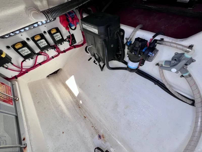 Slide: The Image of Sunsation 32 CCX 2023 - 79