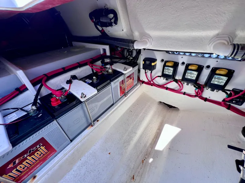 Slide: The Image of Sunsation 32 CCX 2023 - 80