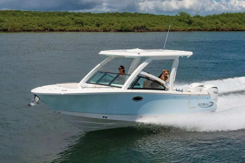 Slide: The Image of Manufacturer Provided Image: 2025 Robalo R257 Dual Console boat cruising on a calm waterway. - 2