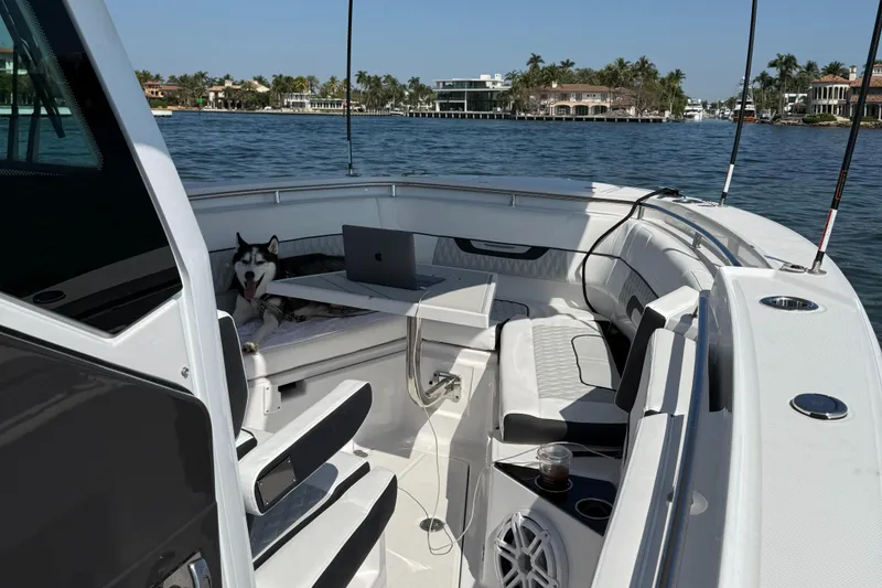 Slide: The Image of 2025 Blackfin 302 CC boat interior with a dog and laptop on a sunny day. - 3