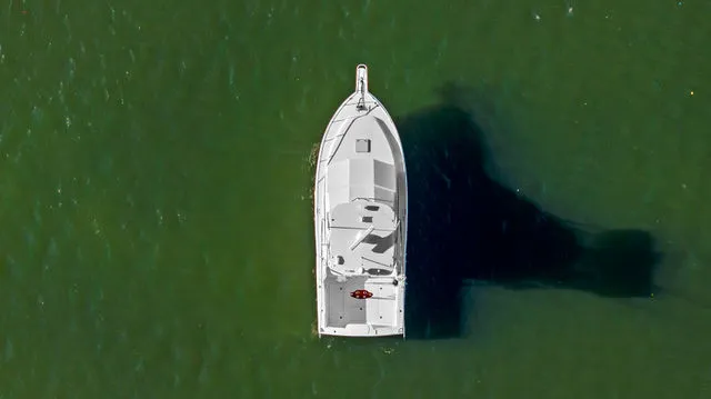 Slide: The Image of Cabo 35 Flybridge 2005 - 48