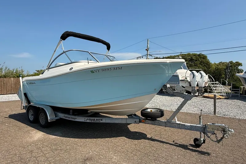 Slide: The Image of 2017 Cobia 220 Dual Console boat on trailer, parked outdoors under clear sky. - 4