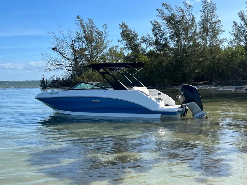 Slide: The Image of 2022 Sea Ray 250 SDX-OB boat in shallow water near a wooded shoreline. - 15