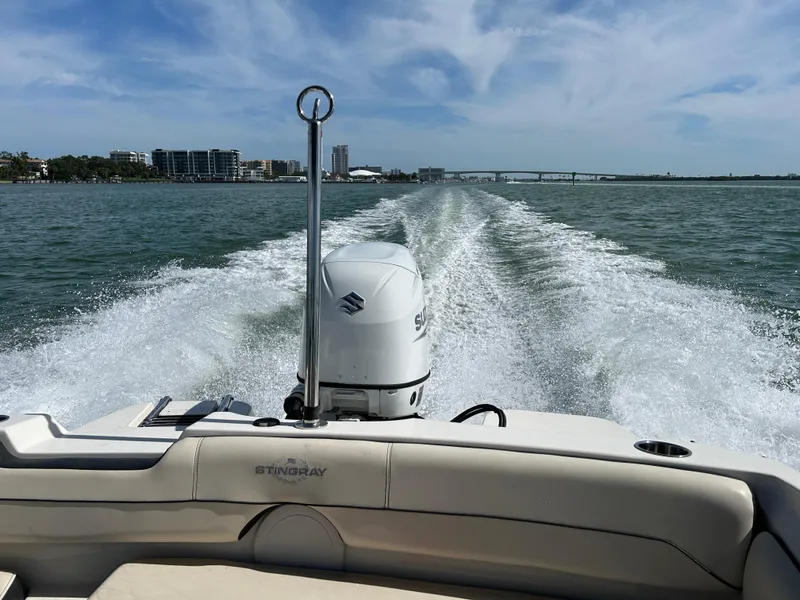 Slide: The Image of 2021 Stingray 191 DC boat cruising on open water with city skyline in background. - 17