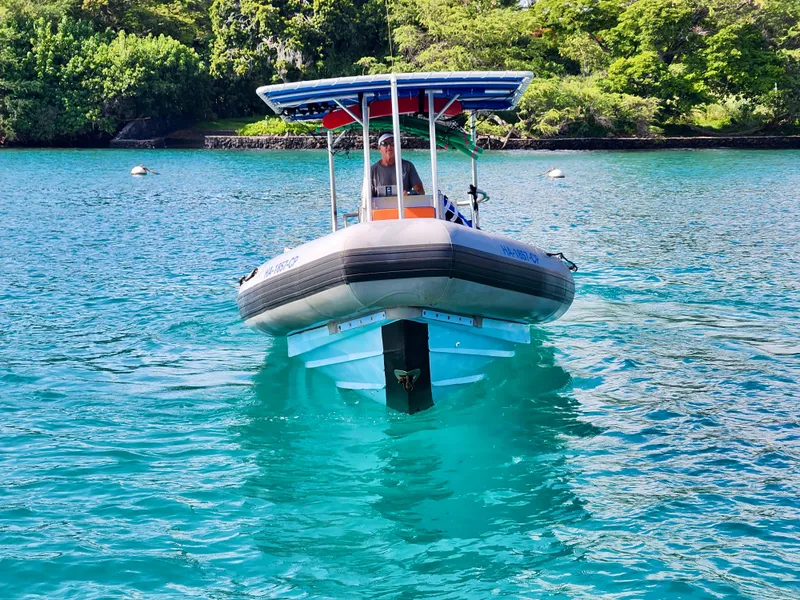 Slide: The Image of Zodiac Hurricane 733 2002 - 5