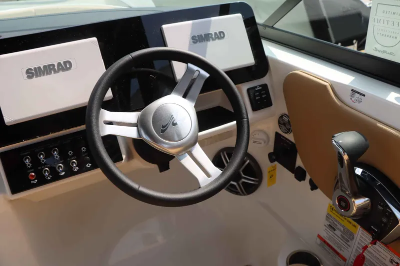 Slide: The Image of Sea Ray 250SDX 2026 - 18