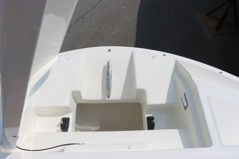 Slide: The Image of Sea Ray 250SDX 2026 - 29