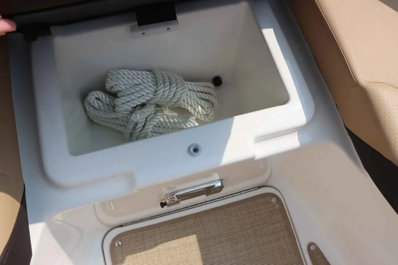 Slide: The Image of Sea Ray 250SDX 2026 - 30