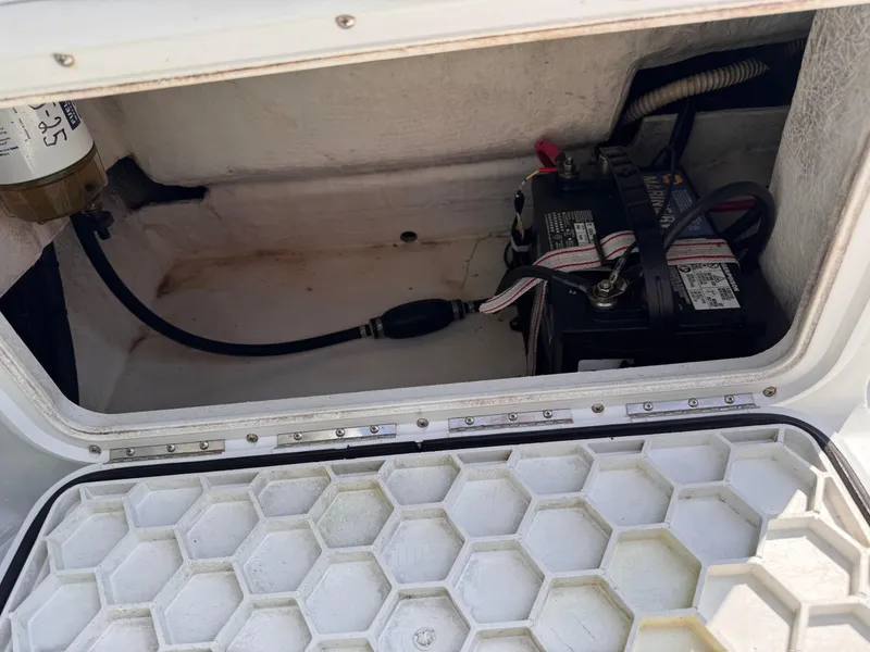 Slide: The Image of Glacier Bay 2680 Coastal Runner 2004 - 54