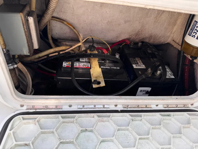 Slide: The Image of Glacier Bay 2680 Coastal Runner 2004 - 55