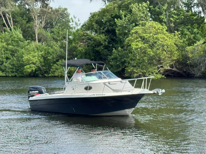 Slide: The Image of 2005 Hydra-Sports Lightning 230 WA boat cruising on a river with lush greenery. - 0