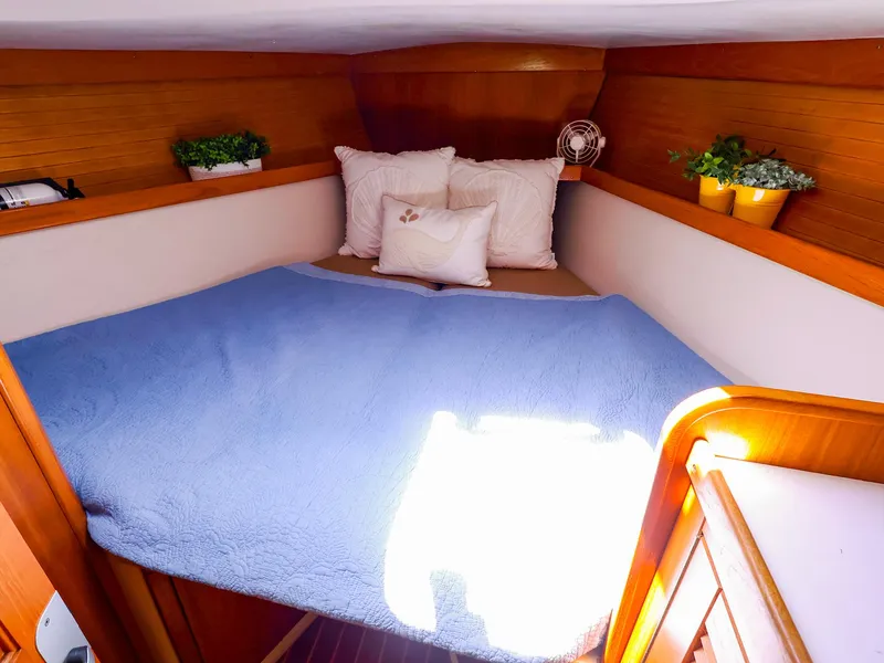 Slide: The Image of Cozy cabin interior of 2001 Catalina 36 MkII with blue bedding and decorative plants. - 42