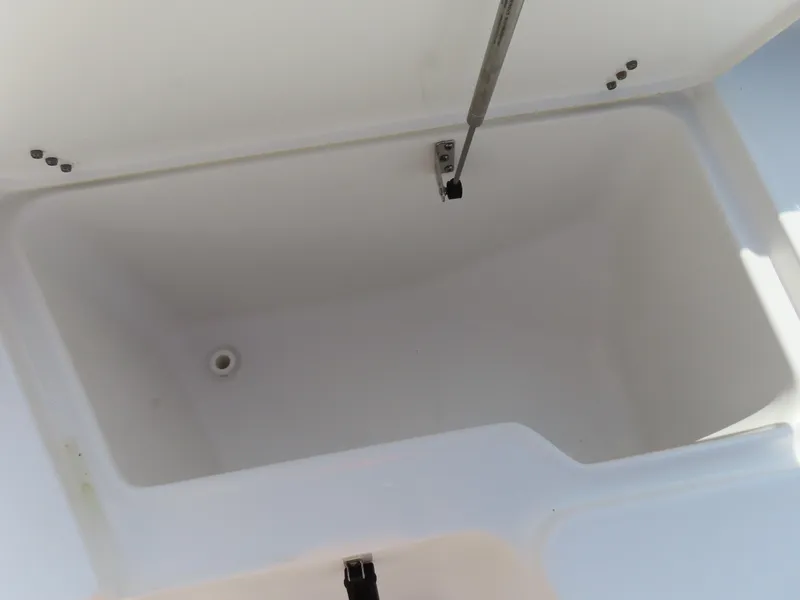 Slide: The Image of 2021 Sea Hunt Ultra 219 storage compartment with hydraulic lift, open and empty. - 10