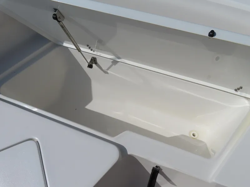 Slide: The Image of Open storage compartment on a 2021 Sea Hunt Ultra 219 boat. - 11