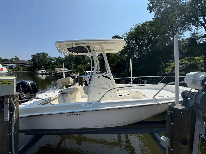 Slide: The Image of 2018 Boston Whaler 210 Dauntless boat docked by a serene waterfront. - 7