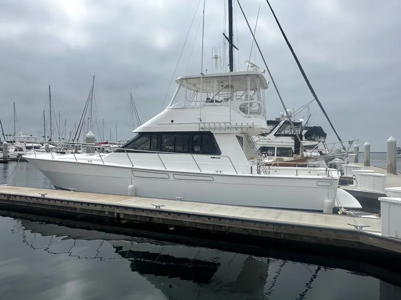 The Image of Mediterranean 54 Mediterranean 2005 - 0