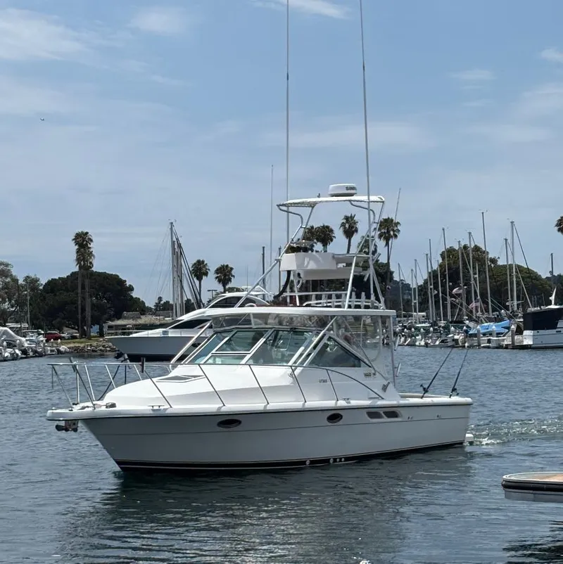 Slide: The Image of 2006 Tiara Yachts 2900 cruising in a marina with sailboats and palm trees. - 24