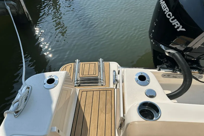 Slide: The Image of Scout 215 Dorado 2022 - 6
