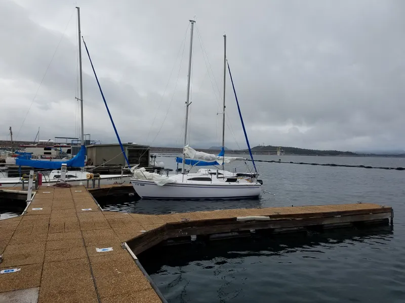 The Image of Catalina 22 Sport 2017 - 0